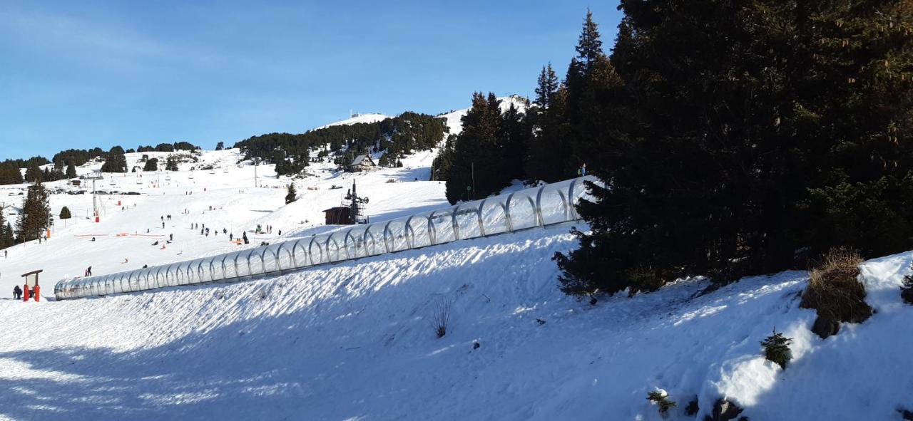 Studio Aux Pieds Des Pistes Roche Beranger Chamrousse Eksteriør bilde